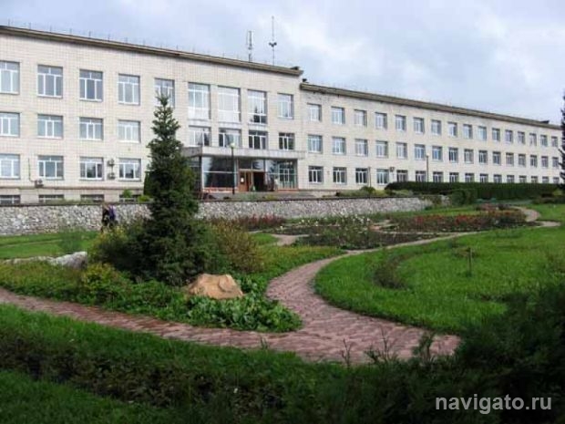 В мире растений
