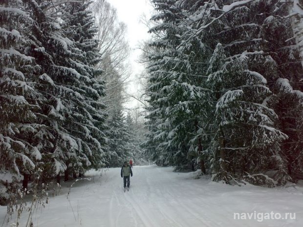 В защиту лыжной трассы