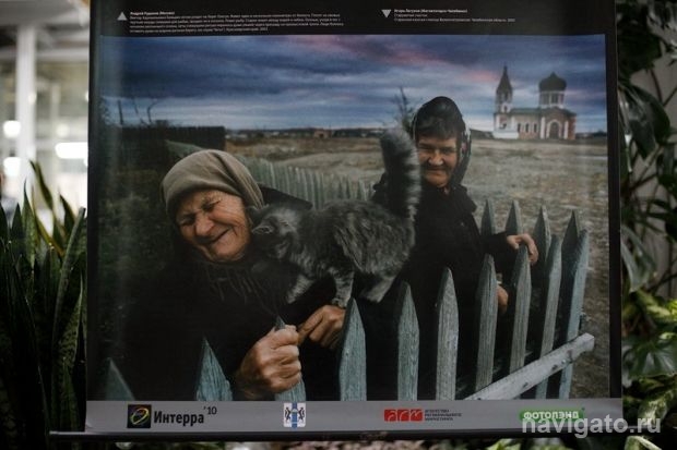 Фото не для проформы