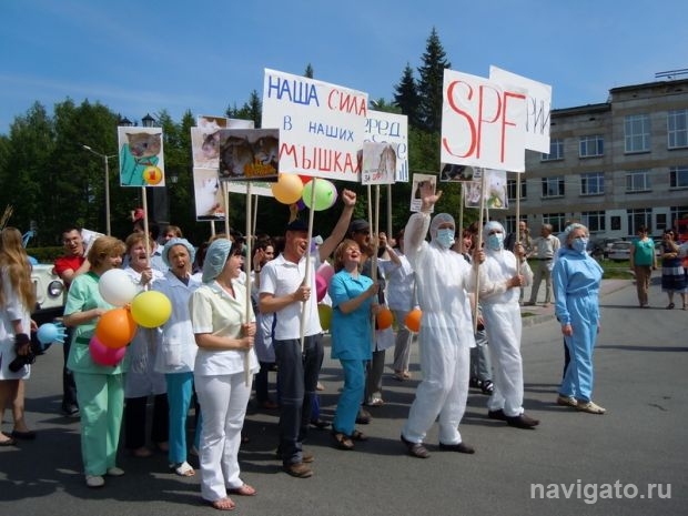 Сила – в мышках!