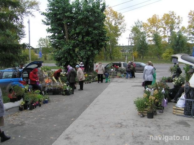 Сказано - сделано