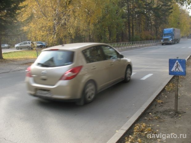 Полосатая самодеятельность