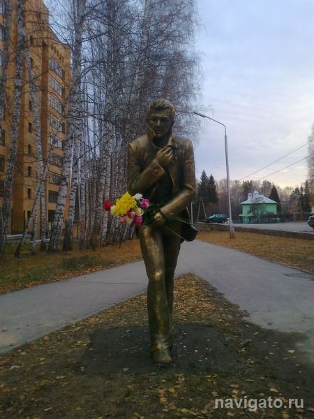 Звезда ночного Городка