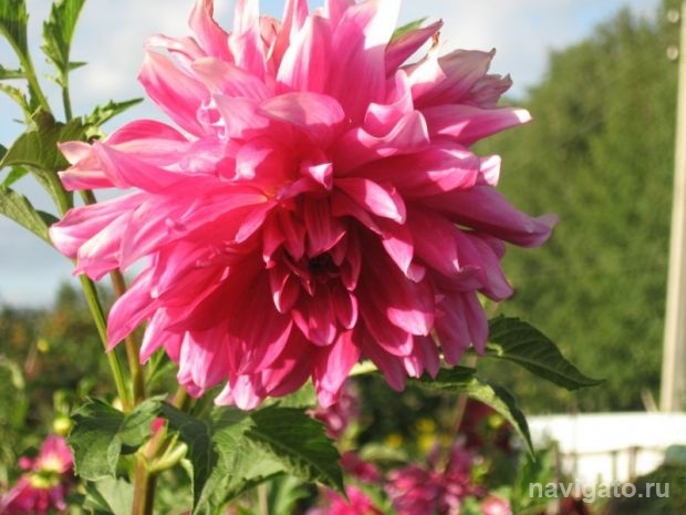 Тренды нашего Городка