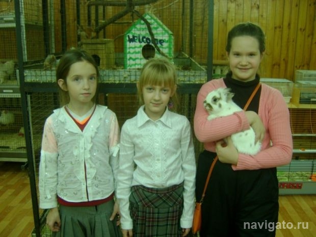 Воспитание живой природой