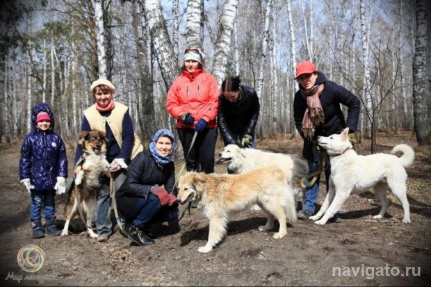 Совершите добрый поступок
