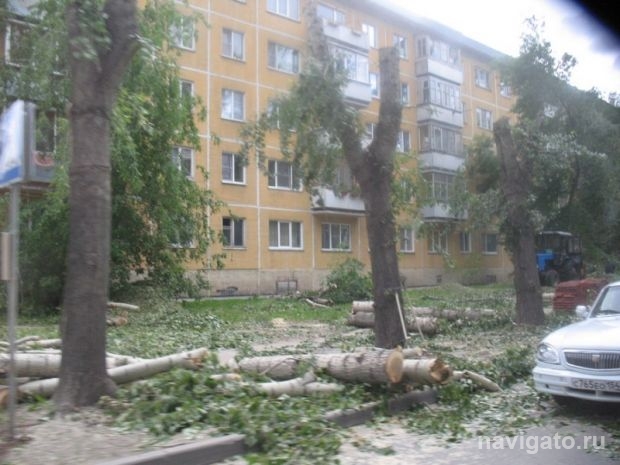 Тополиный «бух!»
