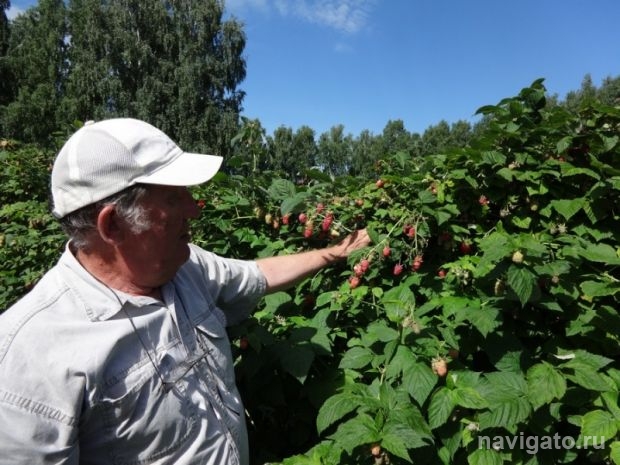 Собственный сад – территория творчества