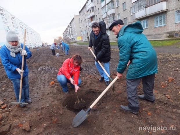 Посадили яблоневую аллею