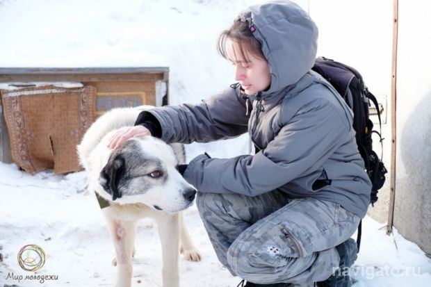 Для братьев наших меньших