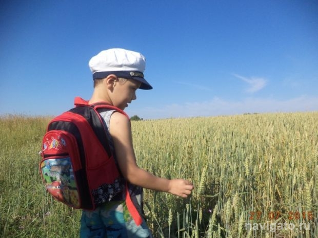 Как живёшь, район подшефный?