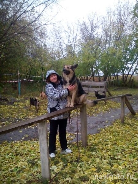 На радость домашним любимцам