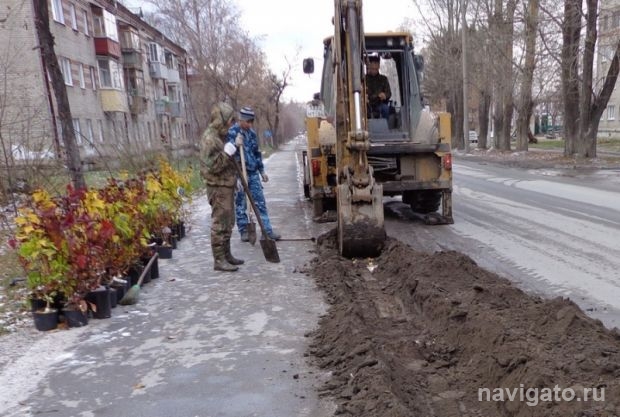 Деревья для будущего