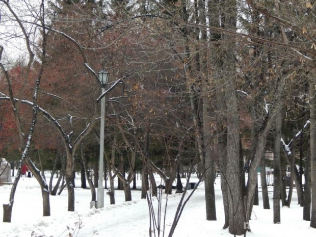 Февраль