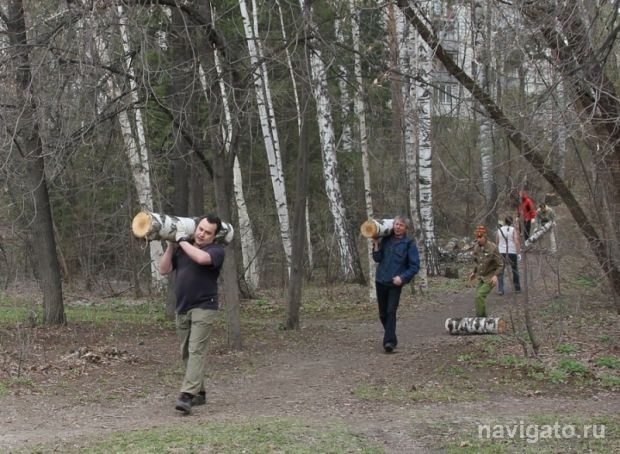 Муравьиный лес