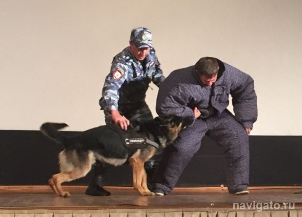 «СТОПтеррор»