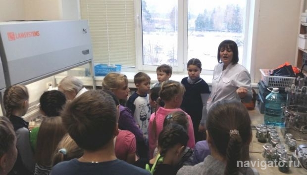 В школьные каникулы