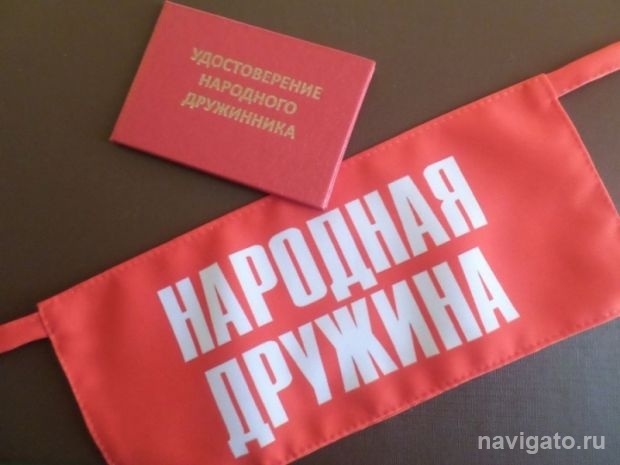 Народная дружина «Дельфин»