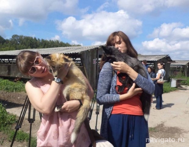 Эксперимент продолжается