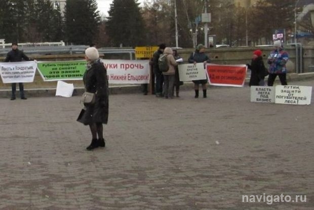 Против вырубок в Нижней Ельцовке