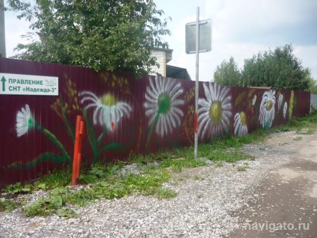 Среди лучших СНТ региона