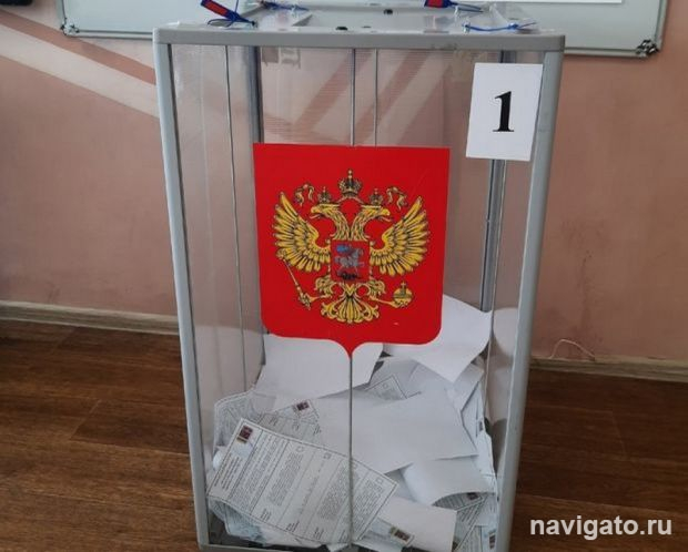8 кандидатов в депутаты