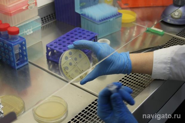 Альтернатива антибиотикам