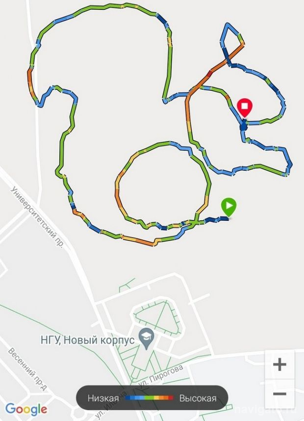 Цифровая белка