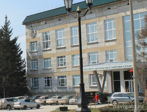 Для выявления мутаций