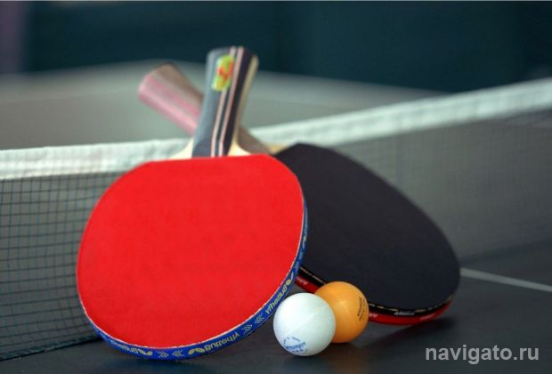 Фестиваль начался с победы