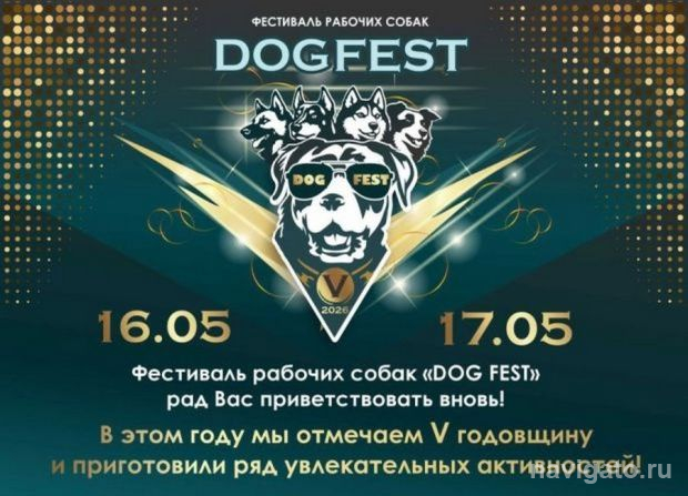 Фестиваль рабочих собак