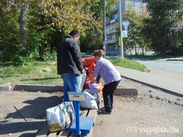 Где купить картофель