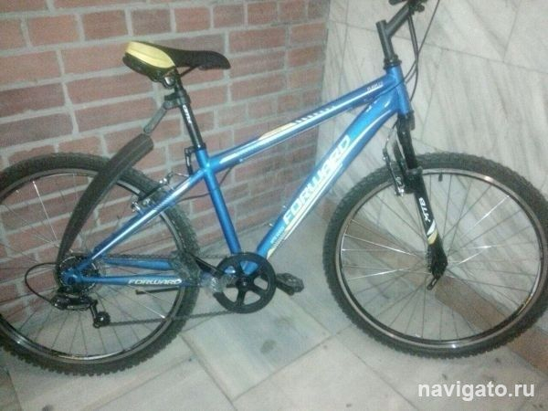 Информация отдела полиции №10