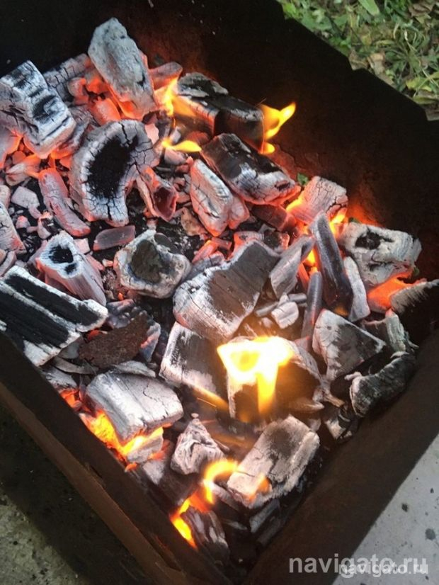 Жечь траву запрещено!