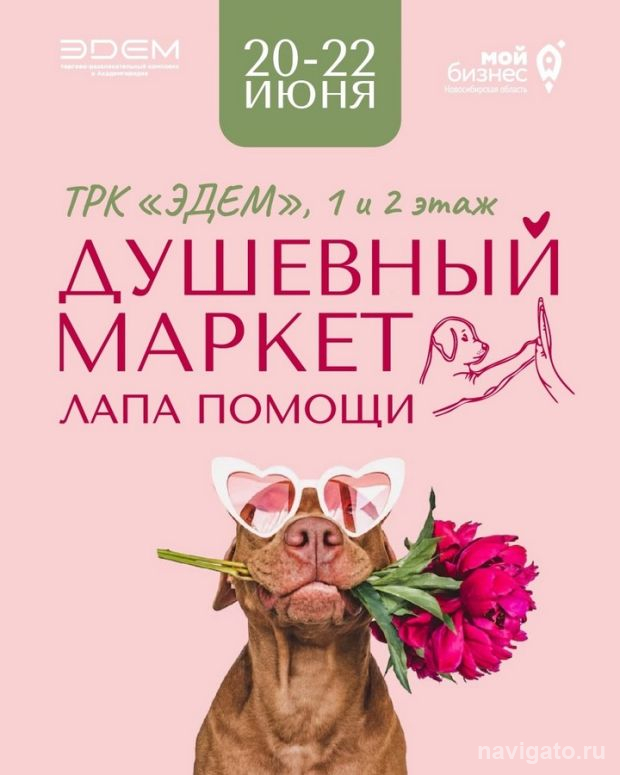 «Лапа помощи»