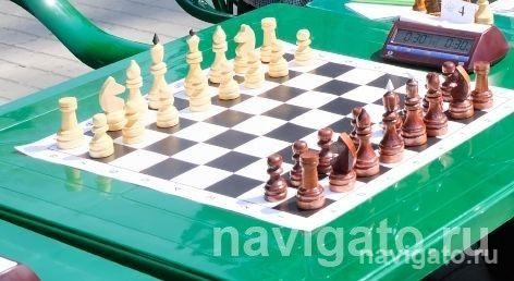 Международный день шахмат