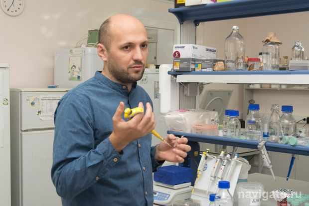 Мыши без аллергии