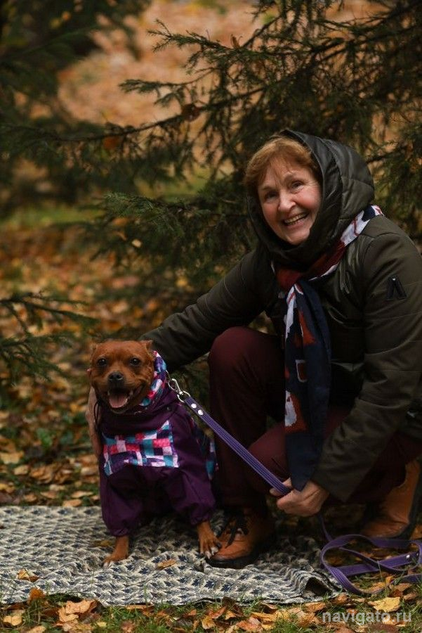 На нужды приютских собак