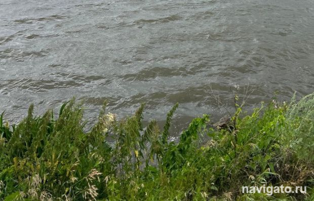 Набирают матросов-спасателей