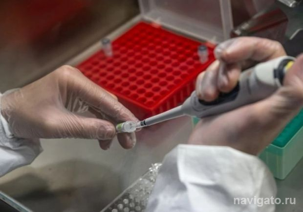 Новое лекарство от ковида