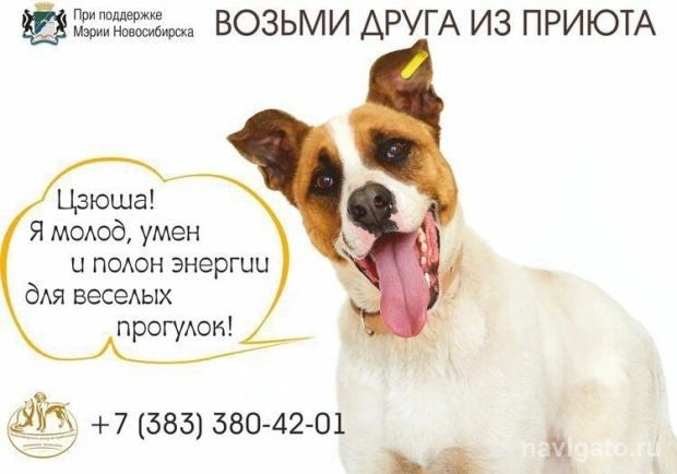 Обратите на них внимание!