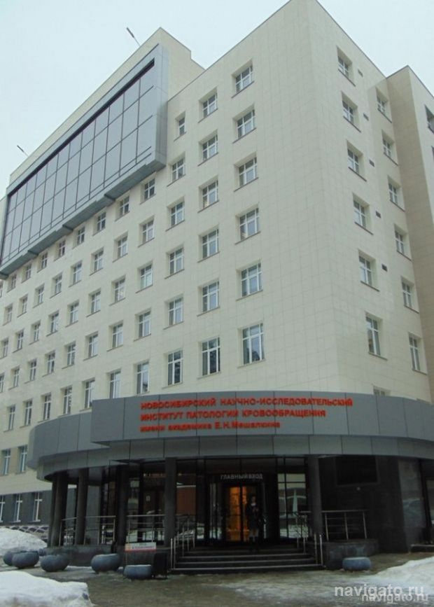 Освоили эмболизацию