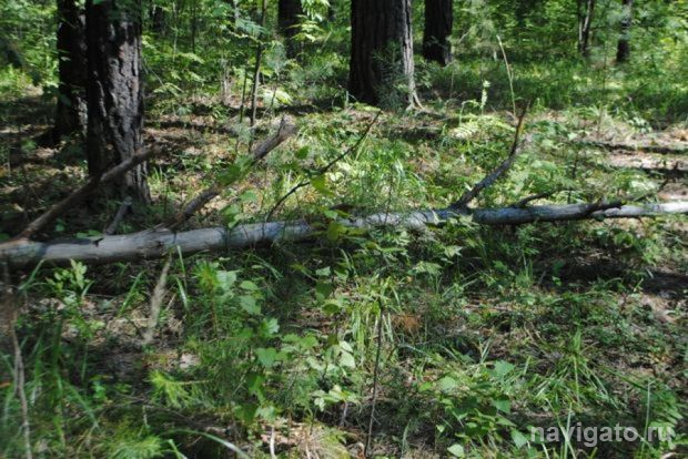 Ответит за халатность