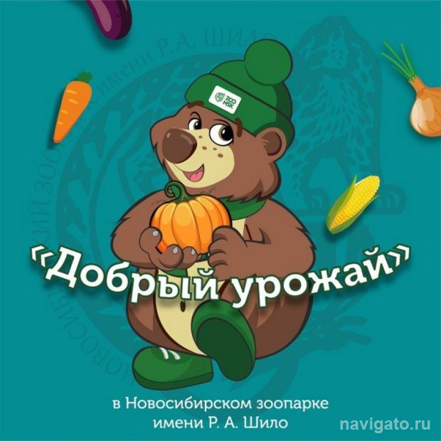 Овощи для животных