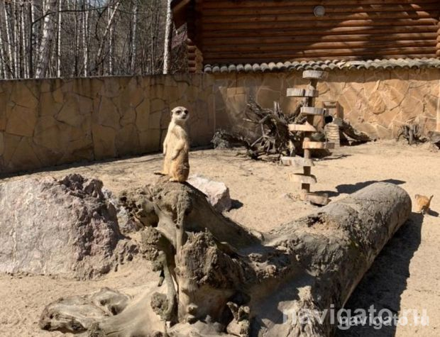 По летнему графику