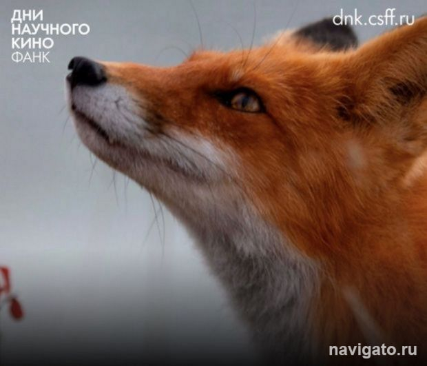 Показ документального кино