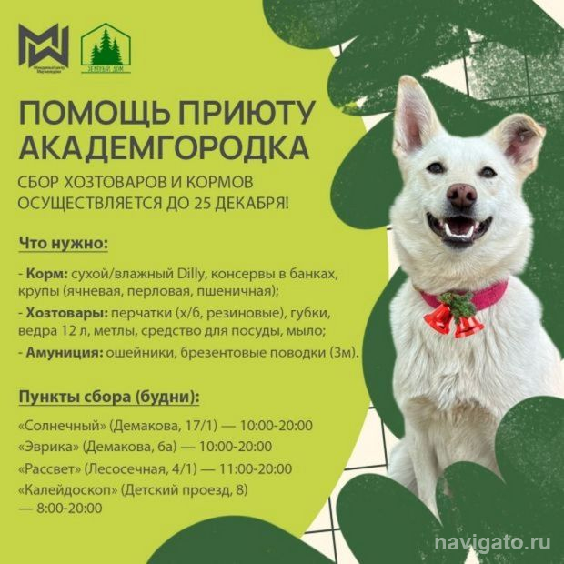 Помощь приюту для собак