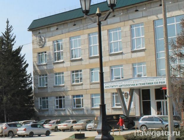 Против рака мозга