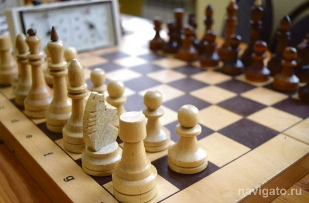 Проведут турнир онлайн