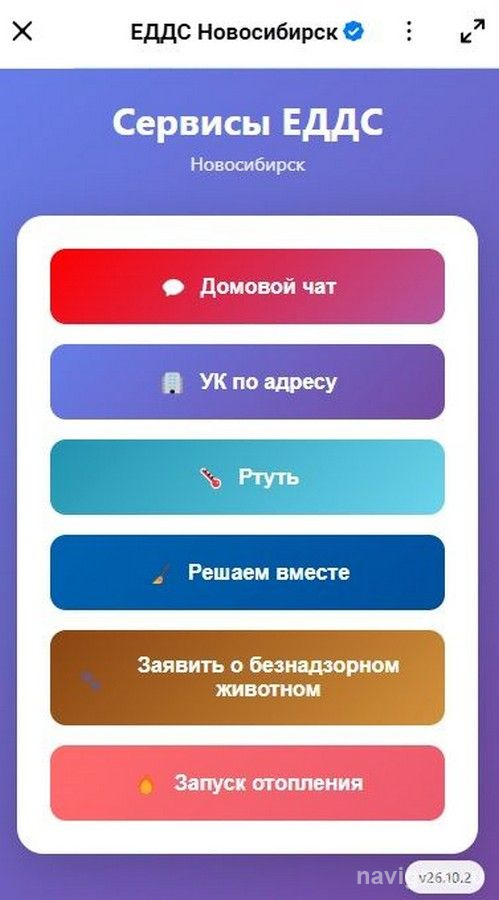Расскажите о бродяжке